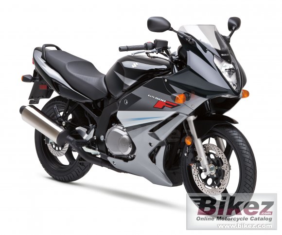 2010 Suzuki GS500F photo
